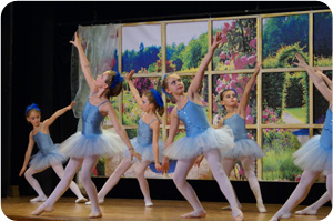 zappellita Gänse und Katze